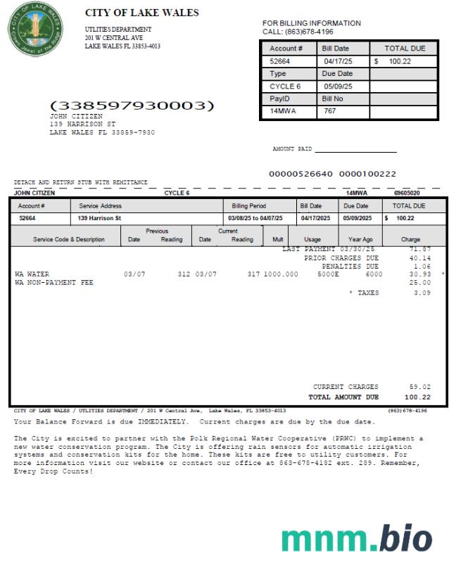 Szablon rachunku za media w USA City of Lake Wales w formatach Word i PDF